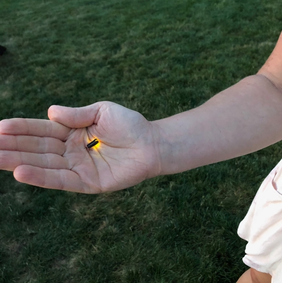 Meet your Posher, Laura - Picture 12 of 13